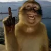 alooo111118