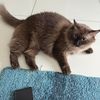 jason_4319