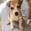 vincenzadgv