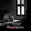 user81067674