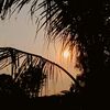 dhi_1803