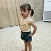 shams_20_
