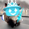nikkaipro_top