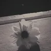 toantayk8
