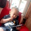 hayfaanggraeni