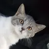 wihpn