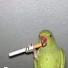 sadwin1337