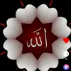 khu_shi312