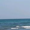 adel_457