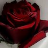 deedee22440