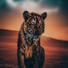 samy212023