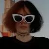 vloneboychik