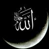 magdy.assal