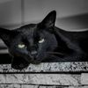 midnightsalem__