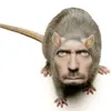 rato.do.fogao