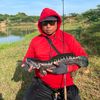 udpancing203