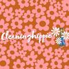 cleaninghippie