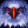 user956400605vinot