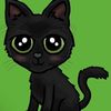 sass_cat98