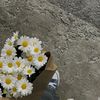 annisanafa01567