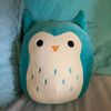 little.wise.owl