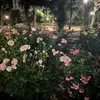 _kazzz89