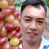 thonglk0969370607