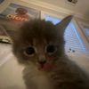 xykitoo