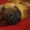 lunek_12