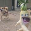 rabyalbani