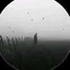 .9s_17