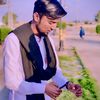 shahzaibshaikh014