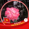 lamphamngoc0
