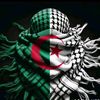 badri2317