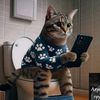 Кот Бегемот