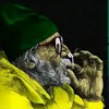 peco_420