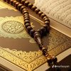 zakidjabour3
