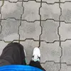 bubbles_xanny