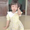 shuajge
