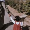 user757104009