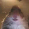 soosaczi