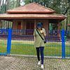 Caliis