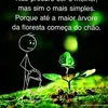jnior0248