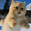 heba.55555