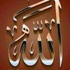 kholodmohamed772