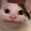 g0lden_mem0ries