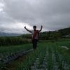jeki.dianputra