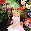 sp.in.wonderland