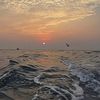 almash__2