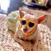 princessfifi1119